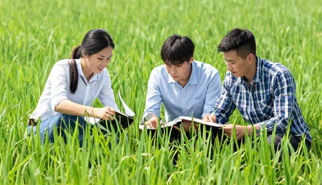 如何通过种植技术指导提升农产品加工质量