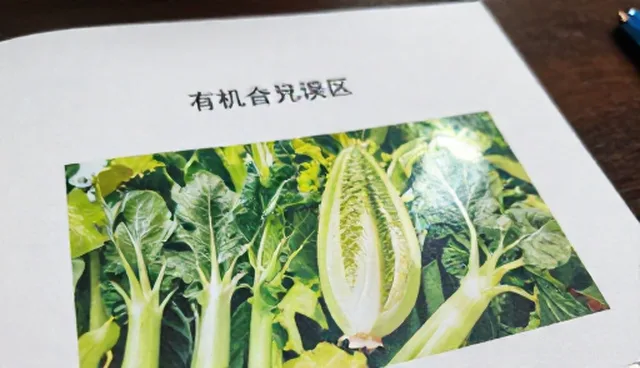 合作模式中选型关注点：如何避免市场分析误区